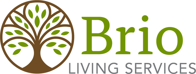 Brio Living Services